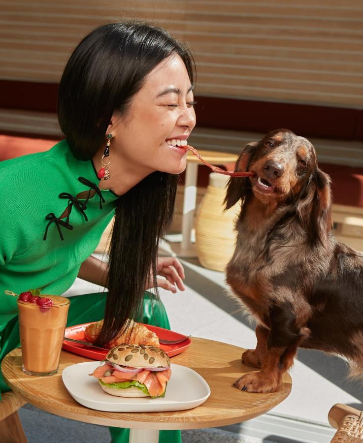 Hotel The Standard, HHQ Exteriér fotografie A woman feeding her dog